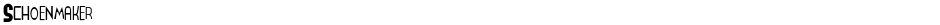SchoenmakerDemo