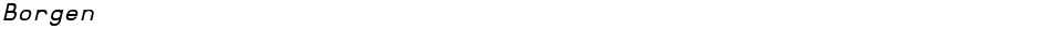 BorgenDemo