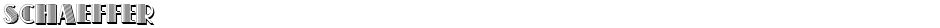 SchaefferDemo