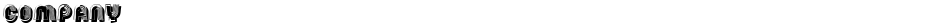 CompanyDemo
