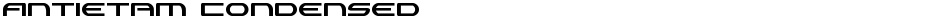 Antietam CondensedDemo
