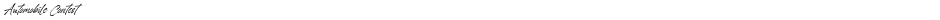 Automobile ContestDemo