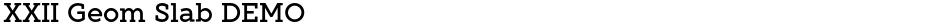 XXII Geom Slab DEMODemo