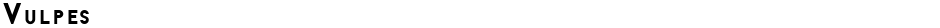 VulpesDemo