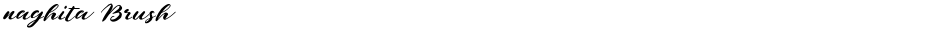 naghita BrushDemo