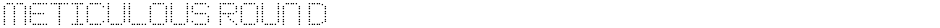 Meticulous RoundDemo