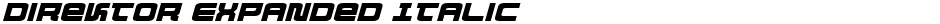 Direktor Expanded ItalicDemo