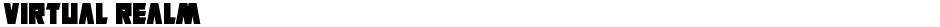Virtual RealmDemo