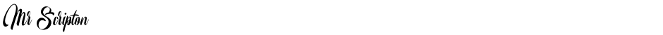 Mr ScriptonDemo
