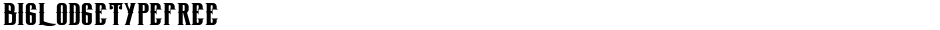 BigLodgeTypeFreeDemo