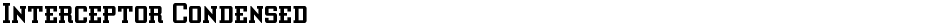 Interceptor CondensedDemo