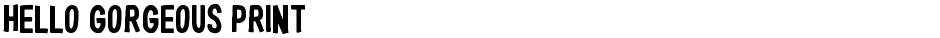 Hello Gorgeous PrintDemo