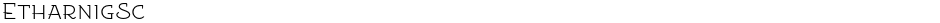 EtharnigScDemo