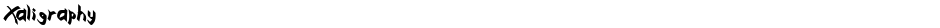 XaligraphyDemo