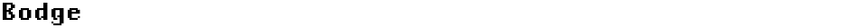 BodgeDemo