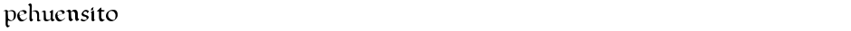 pehuensitoDemo