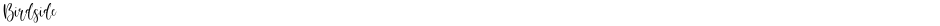 BirdsideDemo