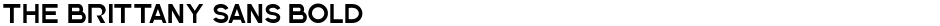The Brittany Sans BoldDemo