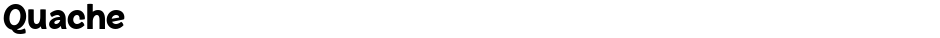 QuacheDemo