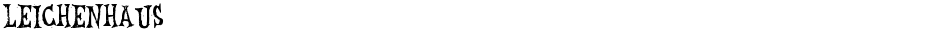 LeichenhausDemo