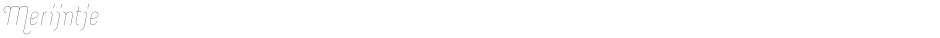 MerijntjeDemo