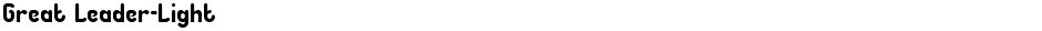 Great Leader-LightDemo
