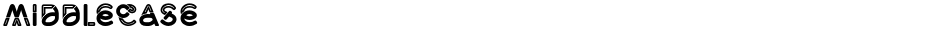 MiddlecaseDemo