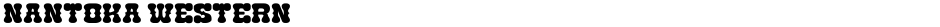 Nantoka WesternDemo