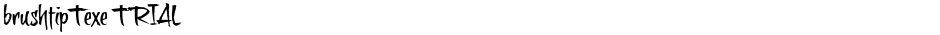 brushtipTexe TRIALDemo