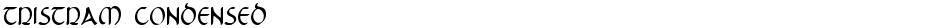 Tristram CondensedDemo