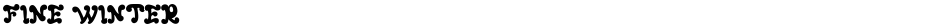 FINE WINTERDemo