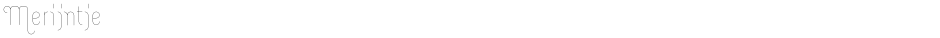 MerijntjeDemo