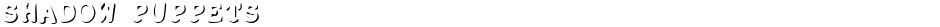 Shadow PuppetsDemo