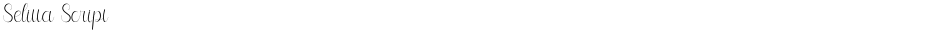 Selitta ScriptDemo