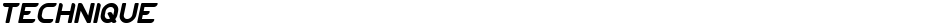 TECHNIQUEDemo