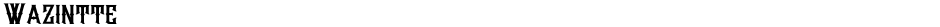 WazintteDemo