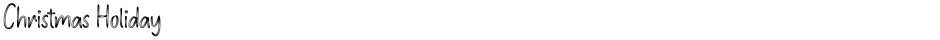 Christmas HolidayDemo