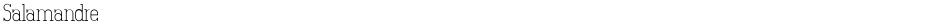 SalamandreDemo