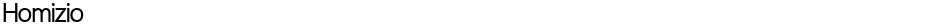 HomizioDemo