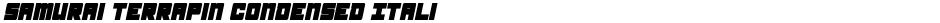 Samurai Terrapin Condensed ItalicDemo