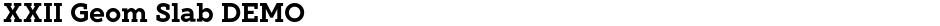 XXII Geom Slab DEMODemo
