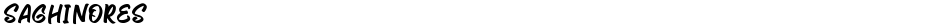 SaghinoresDemo