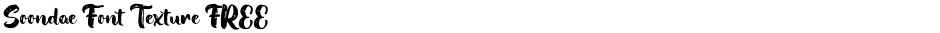 Soondae Font Texture FREEDemo