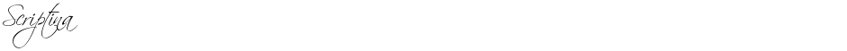 ScriptinaDemo