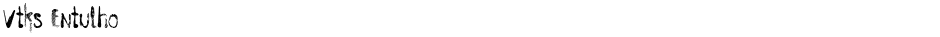 Vtks EntulhoDemo