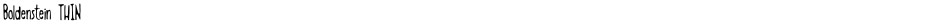 Boldenstein THINDemo