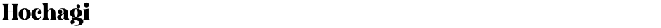 HochagiDemo