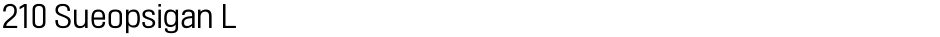 210 Sueopsigan LDemo