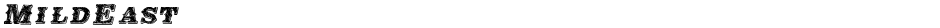 MildEastDemo