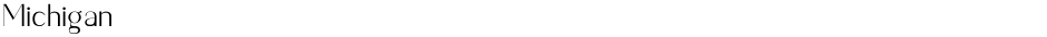 MichiganDemo
